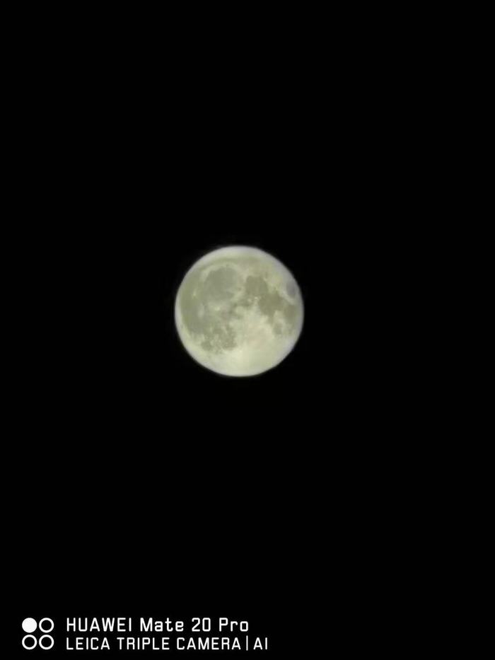 ^﹝ͺӂffʮ﹝āv\