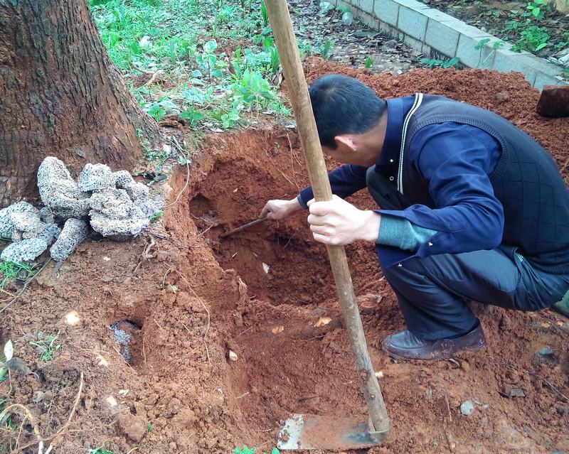 成功簽定 長沙白蟻防治公司 網站優化排名合同