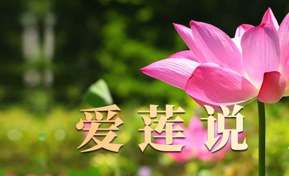 成功簽定 湖南zdy酒有限公司 網(wǎng)站改版升級(jí)網(wǎng)站優(yōu)化自媒體及小視頻合同
